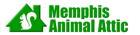 Memphis Animal Attic